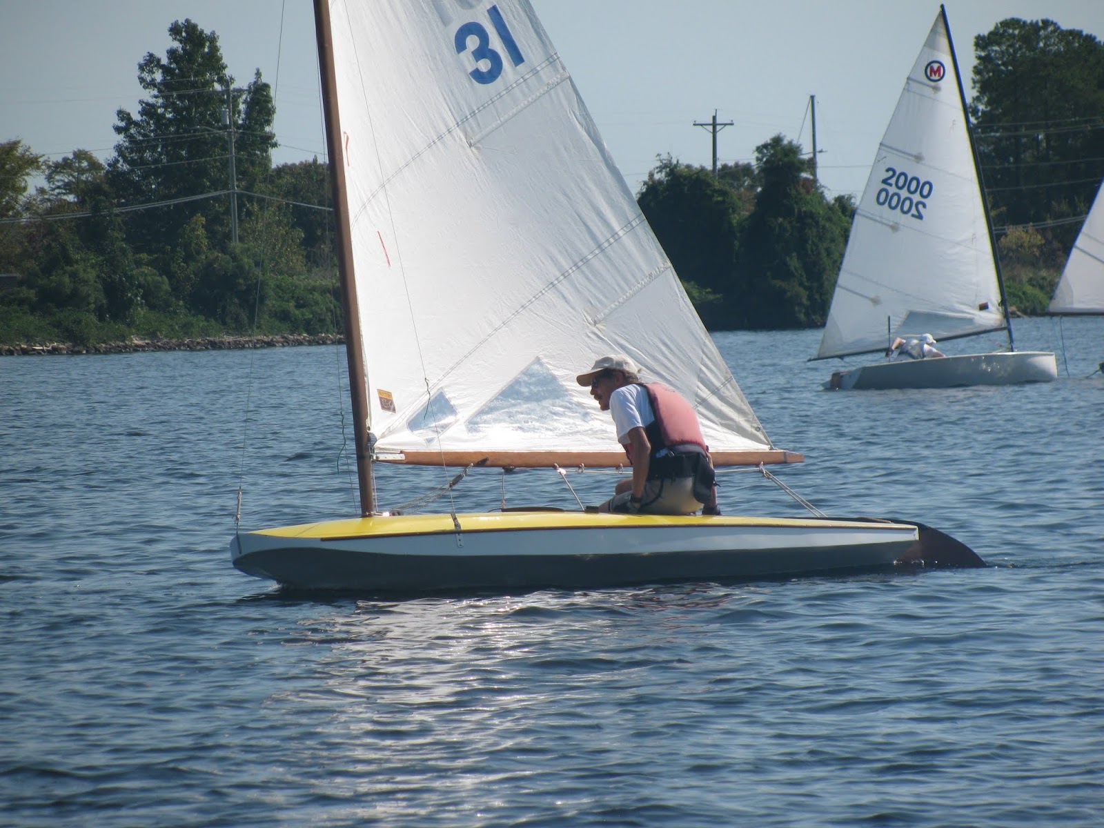 moth sailboat for sale